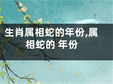 生肖属相蛇的年份,属相蛇的 年份
