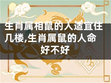 生肖属相鼠的人适宜住几楼,生肖属鼠的人命好不好
