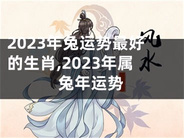 2023年兔运势最好的生肖,2023年属兔年运势