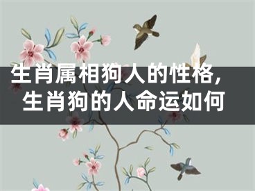 生肖属相狗人的性格,生肖狗的人命运如何