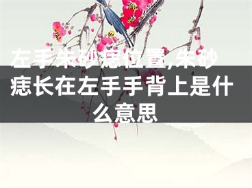 左手朱砂痣位置,朱砂痣长在左手手背上是什么意思
