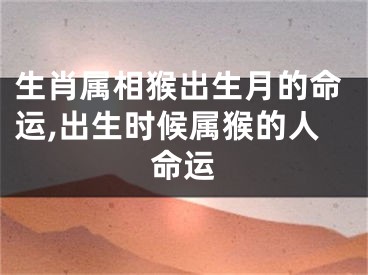 生肖属相猴出生月的命运,出生时候属猴的人命运