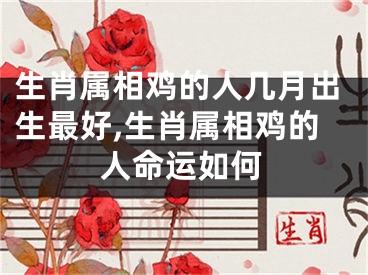 生肖属相鸡的人几月出生最好,生肖属相鸡的人命运如何