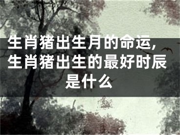 生肖猪出生月的命运,生肖猪出生的最好时辰是什么