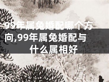 99年属兔婚配哪个方向,99年属兔婚配与什么属相好