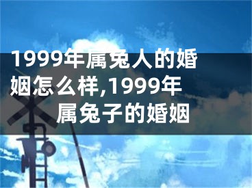 1999年属兔人的婚姻怎么样,1999年属兔子的婚姻