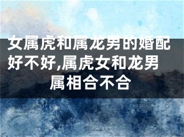 女属虎和属龙男的婚配好不好,属虎女和龙男属相合不合
