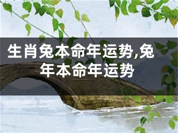 生肖兔本命年运势,兔年本命年运势