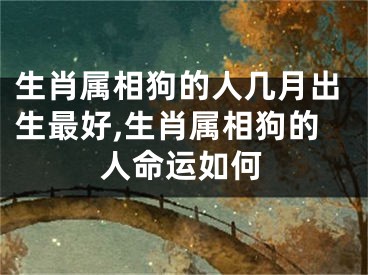 生肖属相狗的人几月出生最好,生肖属相狗的人命运如何