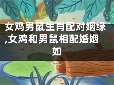 女鸡男鼠生肖配对姻缘,女鸡和男鼠相配婚姻如