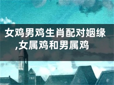 女鸡男鸡生肖配对姻缘,女属鸡和男属鸡