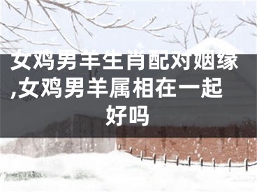 女鸡男羊生肖配对姻缘,女鸡男羊属相在一起好吗