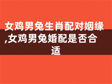 女鸡男兔生肖配对姻缘,女鸡男兔婚配是否合适