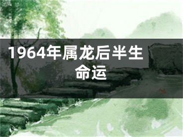 1964年属龙后半生命运