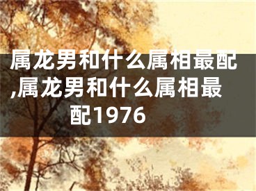 属龙男和什么属相最配,属龙男和什么属相最配1976