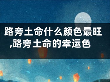 路旁土命什么颜色最旺,路旁土命的幸运色