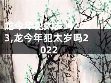 龙今年犯太岁吗2023,龙今年犯太岁吗2022