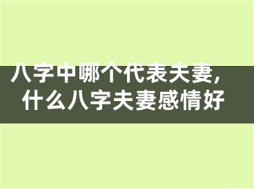 八字中哪个代表夫妻,什么八字夫妻感情好