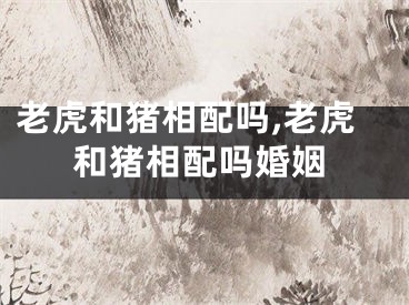 老虎和猪相配吗,老虎和猪相配吗婚姻