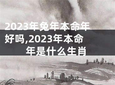 2023年兔年本命年好吗,2023年本命年是什么生肖