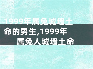 1999年属兔城墙土命的男生,1999年属兔人城墙土命