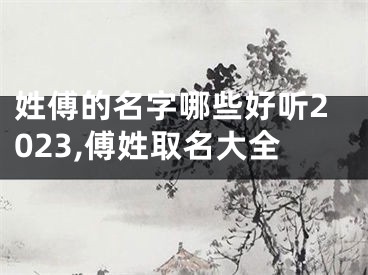 姓傅的名字哪些好听2023,傅姓取名大全