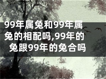 99年属兔和99年属兔的相配吗,99年的兔跟99年的兔合吗