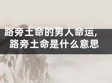 路旁土命的男人命运,路旁土命是什么意思