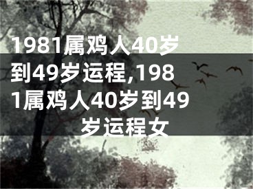 1981属鸡人40岁到49岁运程,1981属鸡人40岁到49岁运程女