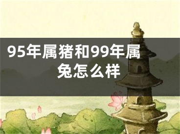95年属猪和99年属兔怎么样
