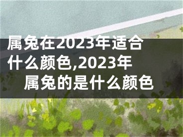 属兔在2023年适合什么颜色,2023年属兔的是什么颜色