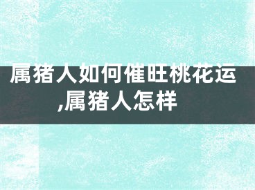 属猪人如何催旺桃花运,属猪人怎样