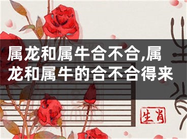 属龙和属牛合不合,属龙和属牛的合不合得来