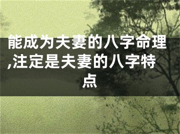能成为夫妻的八字命理,注定是夫妻的八字特点