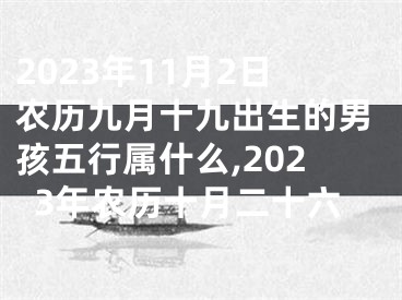2023年11月2日农历九月十九出生的男孩五行属什么,2023年农历十月二十六