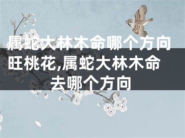 属蛇大林木命哪个方向旺桃花,属蛇大林木命去哪个方向
