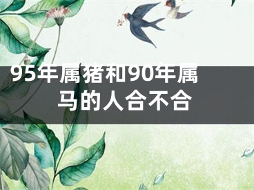 95年属猪和90年属马的人合不合
