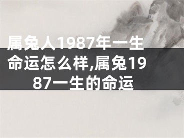 属兔人1987年一生命运怎么样,属兔1987一生的命运