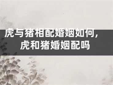 虎与猪相配婚姻如何,虎和猪婚姻配吗