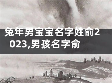 兔年男宝宝名字姓俞2023,男孩名字俞