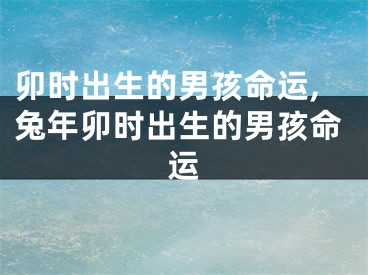 卯时出生的男孩命运,兔年卯时出生的男孩命运