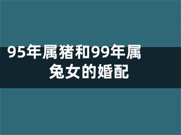 95年属猪和99年属兔女的婚配