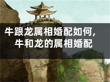牛跟龙属相婚配如何,牛和龙的属相婚配