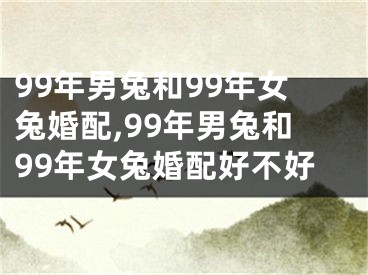 99年男兔和99年女兔婚配,99年男兔和99年女兔婚配好不好
