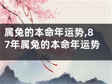 属兔的本命年运势,87年属兔的本命年运势