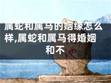属蛇和属马的姻缘怎么样,属蛇和属马得婚姻和不