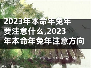 2023年本命年兔年要注意什么,2023年本命年兔年注意方向