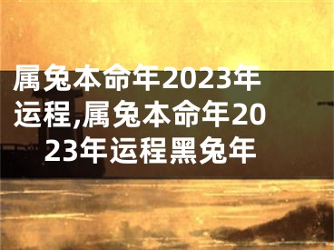 属兔本命年2023年运程,属兔本命年2023年运程黑兔年