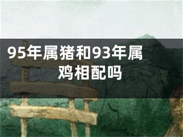 95年属猪和93年属鸡相配吗