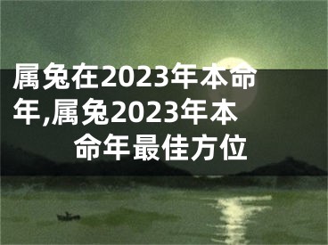 属兔在2023年本命年,属兔2023年本命年最佳方位
